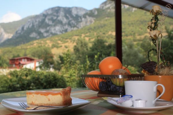 Hotel Pensiune Safrane (Baie Herculane)